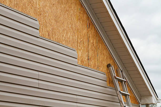 Professional Siding Repair technician working in Gadsden, SC